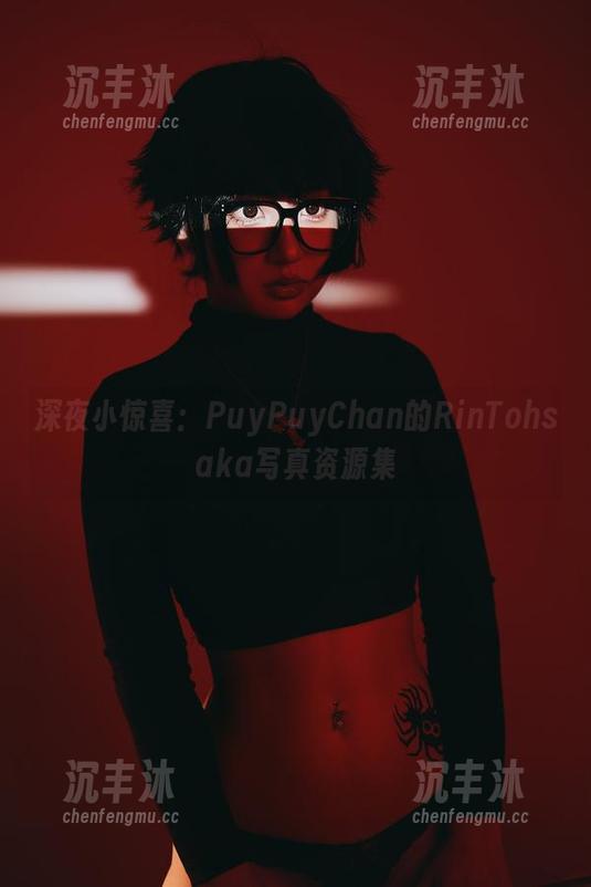 深夜小惊喜：PuyPuyChan的RinTohsaka写真资源集