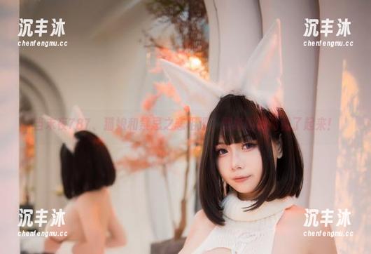 当末夜787、猫娘和禁忌之恋相遇，壁纸瞬间高雅了起来！